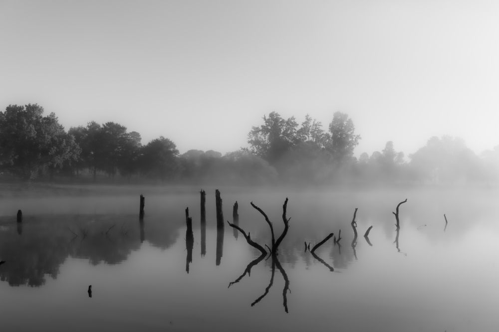 Photograph by Jason Lisher