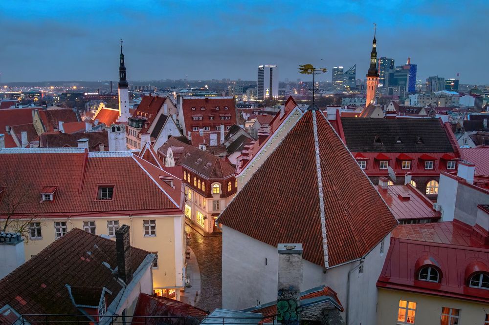 Photograph by Oksana Ermoshenko