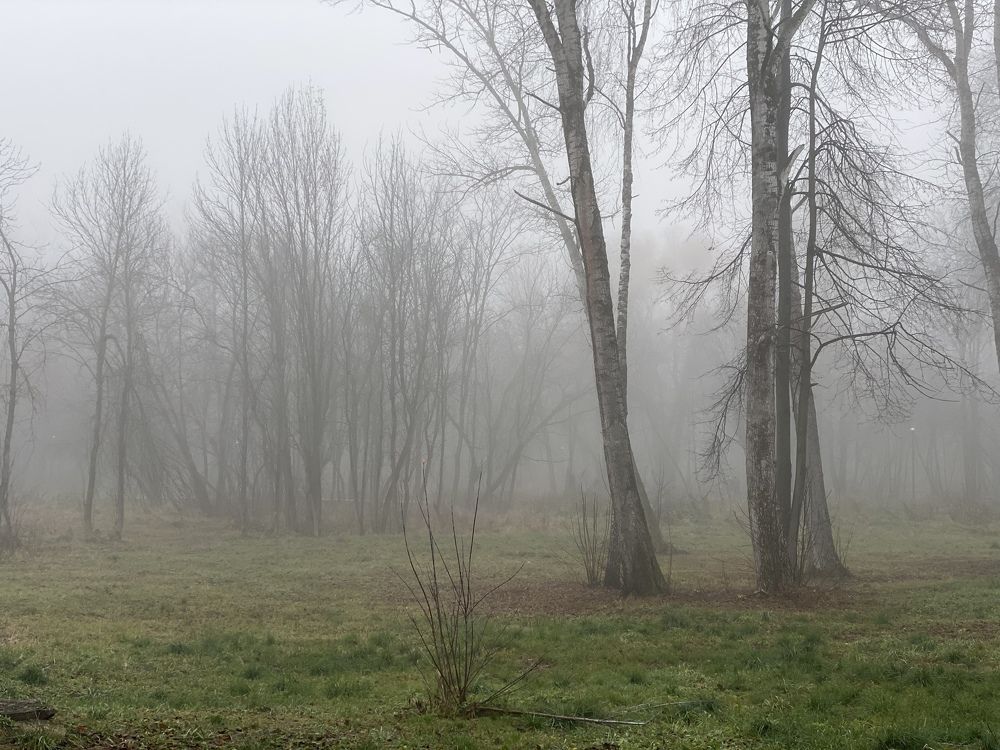 Фотография автора Ольга Горюнова