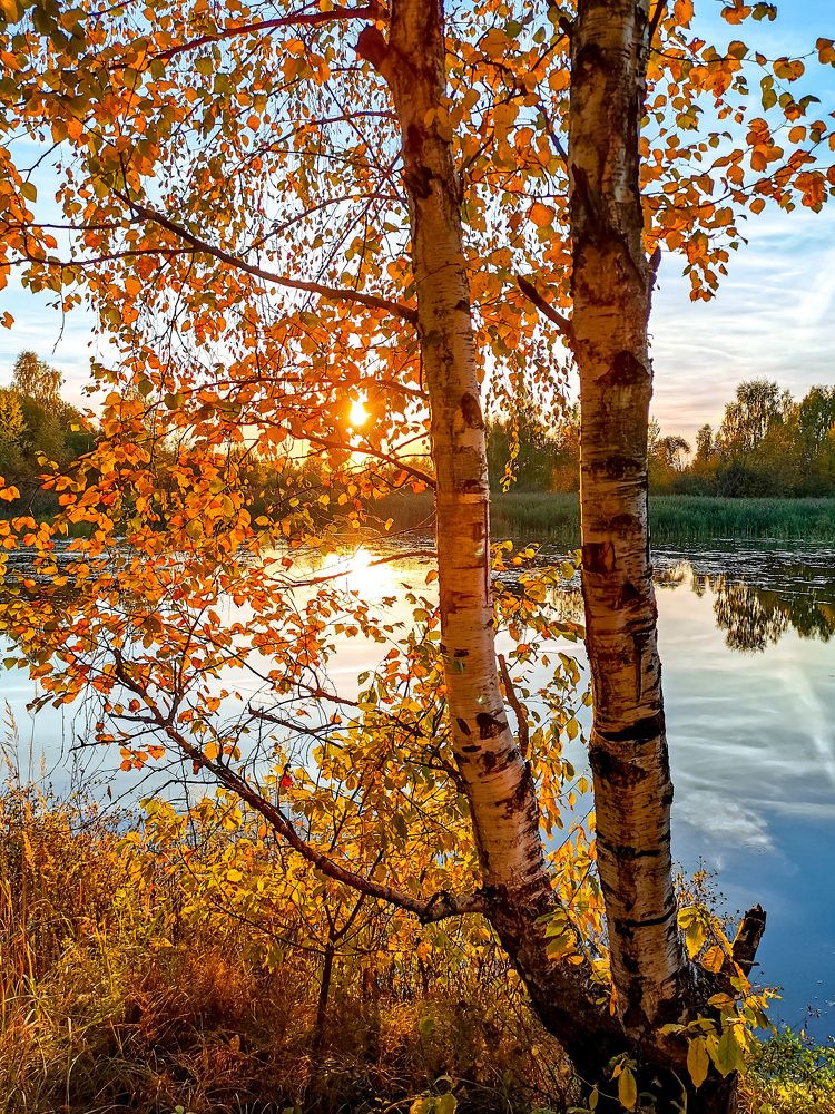 Photograph by Крылов Владимир