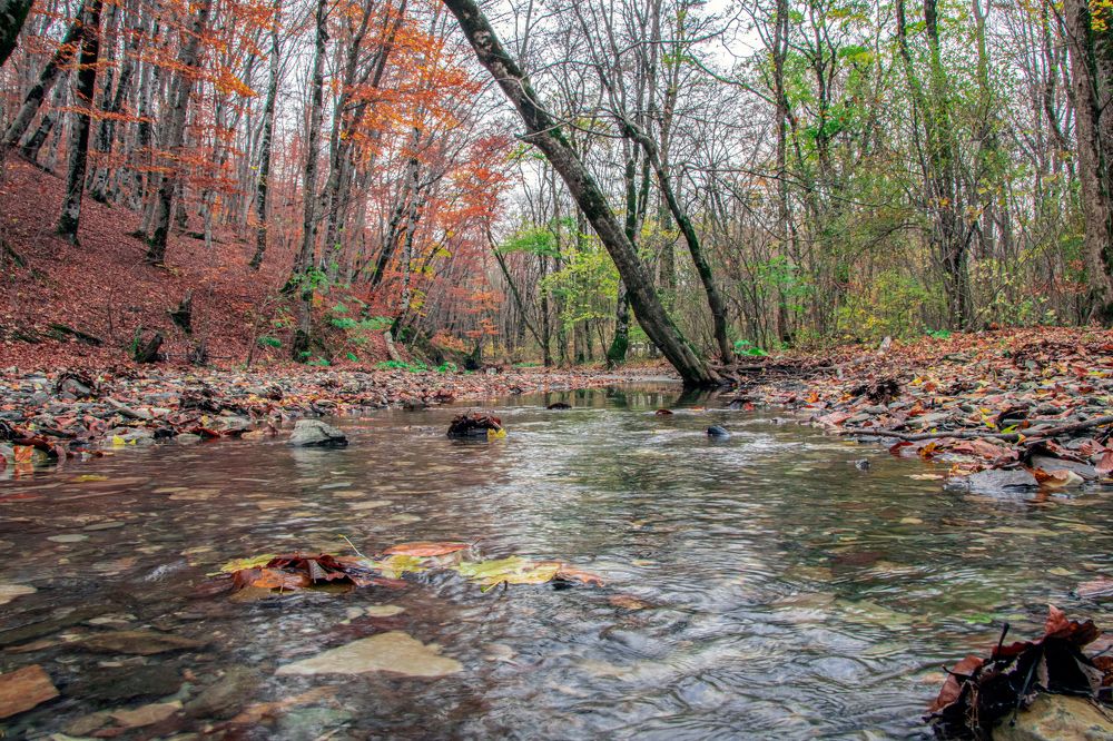 Фотография автора Сергей Христинич