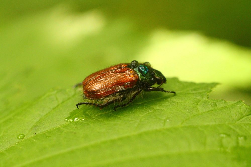 Photograph by Иван Архаров