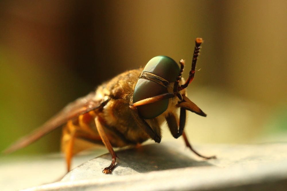 Photograph by Иван Архаров