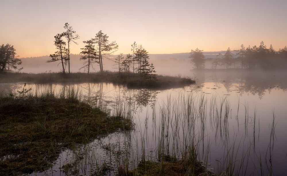 Photograph by Олег Иваницкий