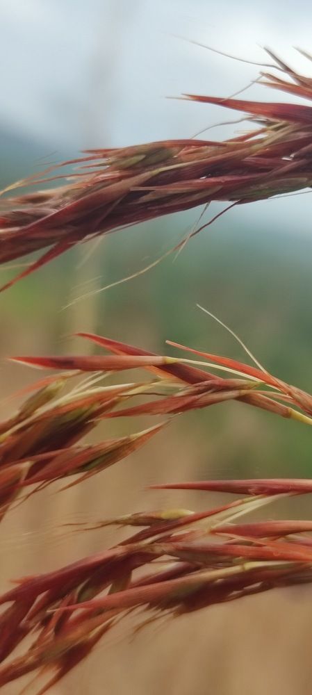 Photograph by Strange SellA