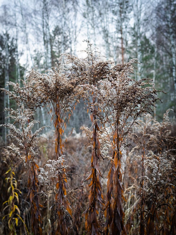 Photograph by Sergey