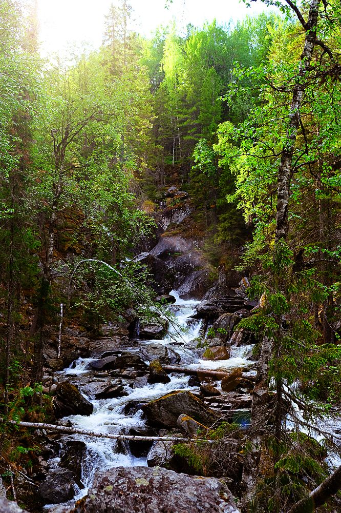 Photograph by Анастасия Глущенко