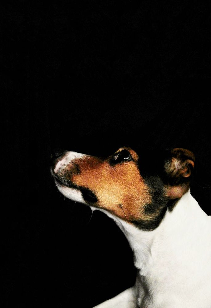 Photograph by Ольга Барковская