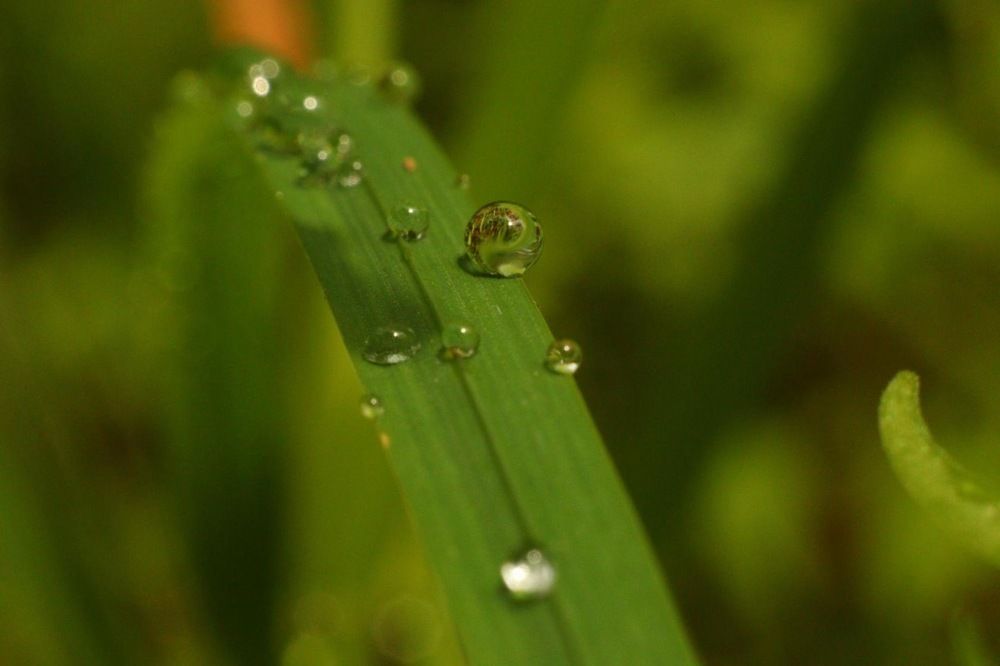 Photograph by Иван Архаров