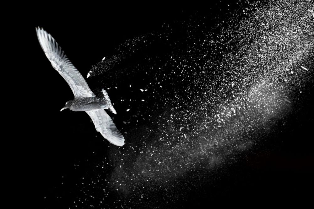 Вне времени и пространства