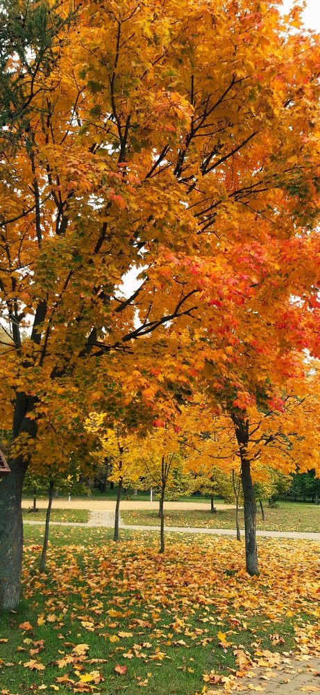 Photograph by Александра Кропивка