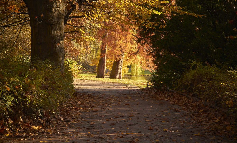 Photograph by Евгений Маркин