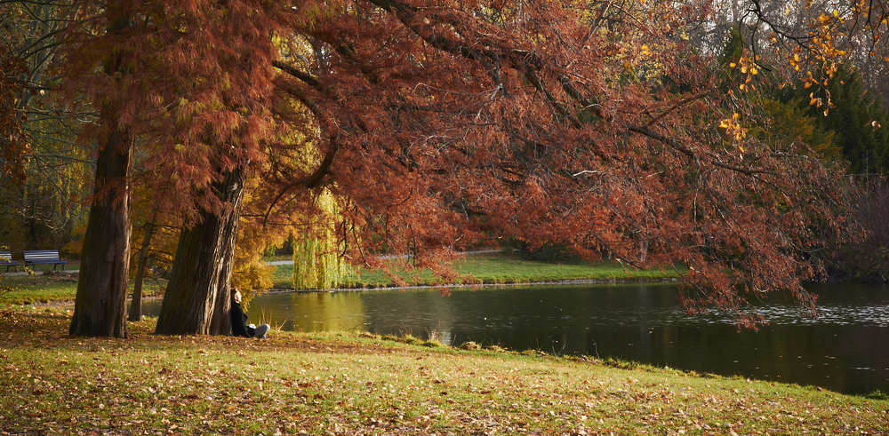 Photograph by Евгений Маркин