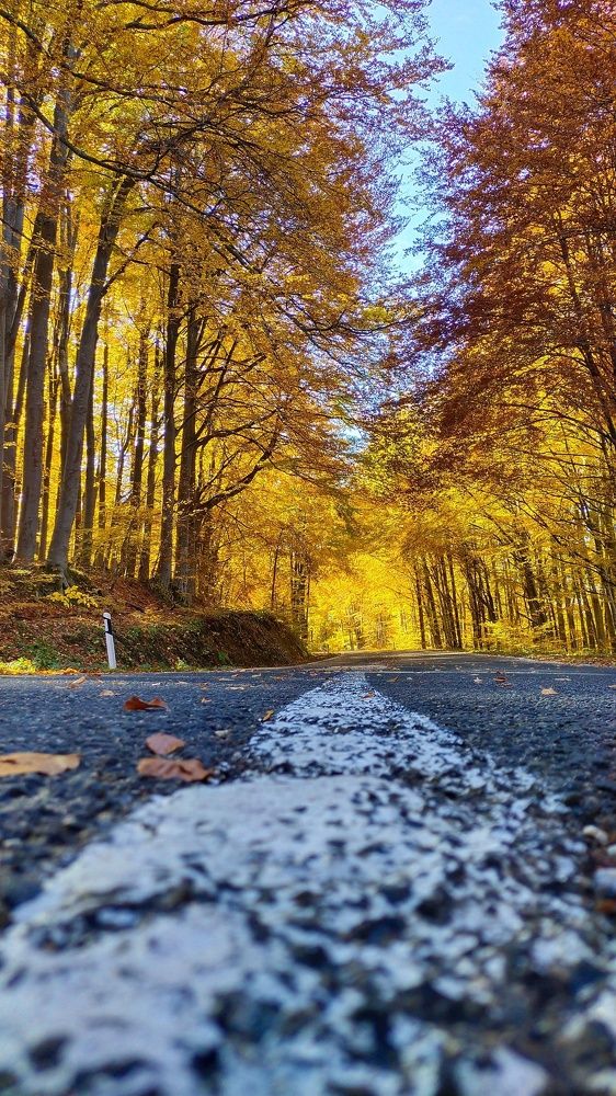 Photograph by Zoran Milic