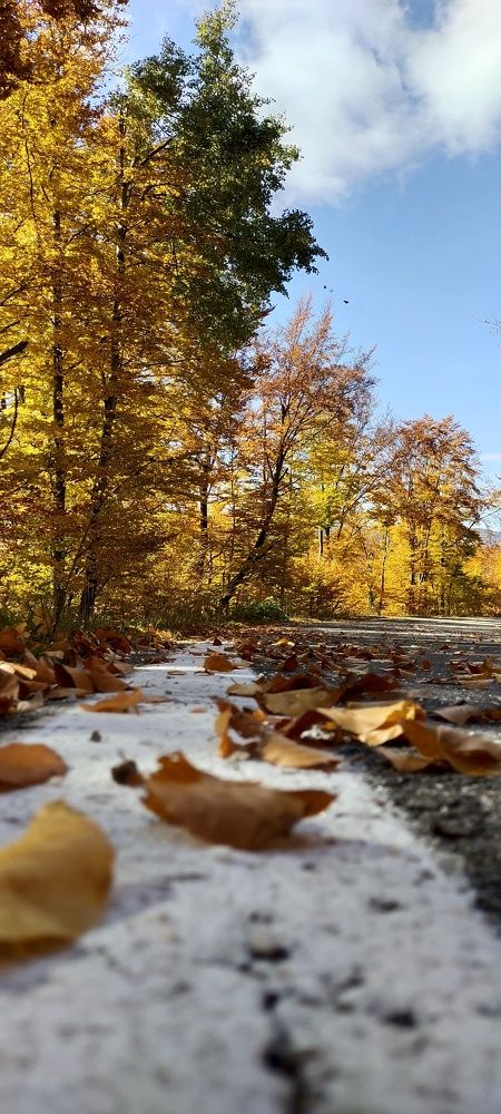 Photograph by Zoran Milic