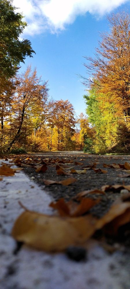 Photograph by Zoran Milic