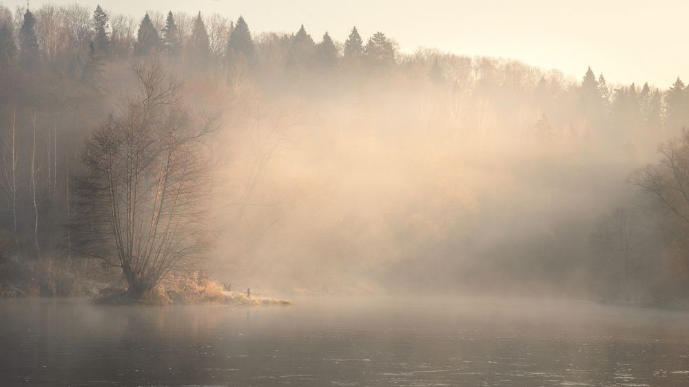 Photograph by Максим Мозжухин