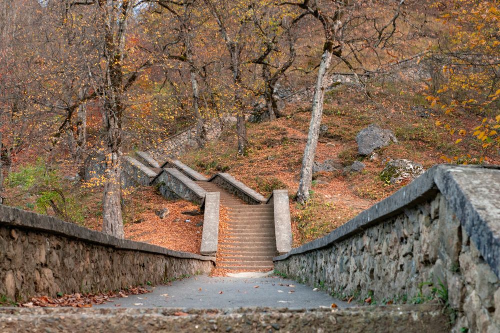 Photograph by İlham Mustafayev