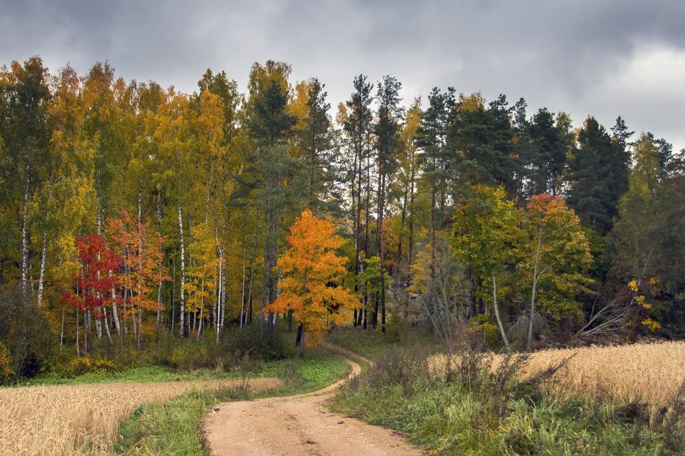 Photograph by Guntars