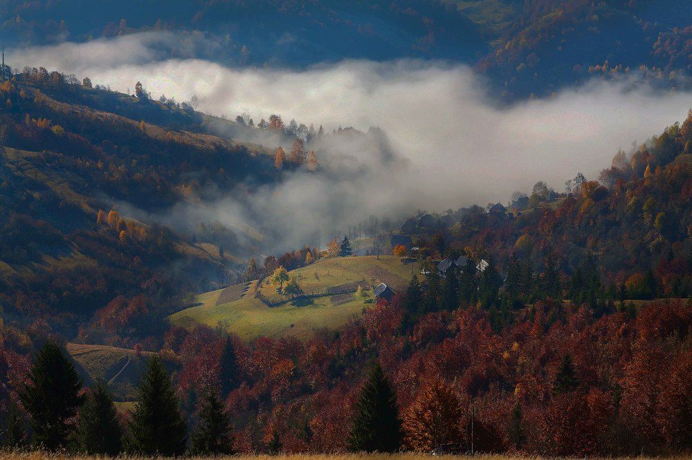 Photograph by Юрий Крилівець