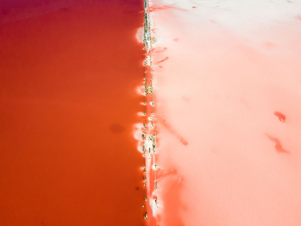 Photograph by Oksana Ermoshenko