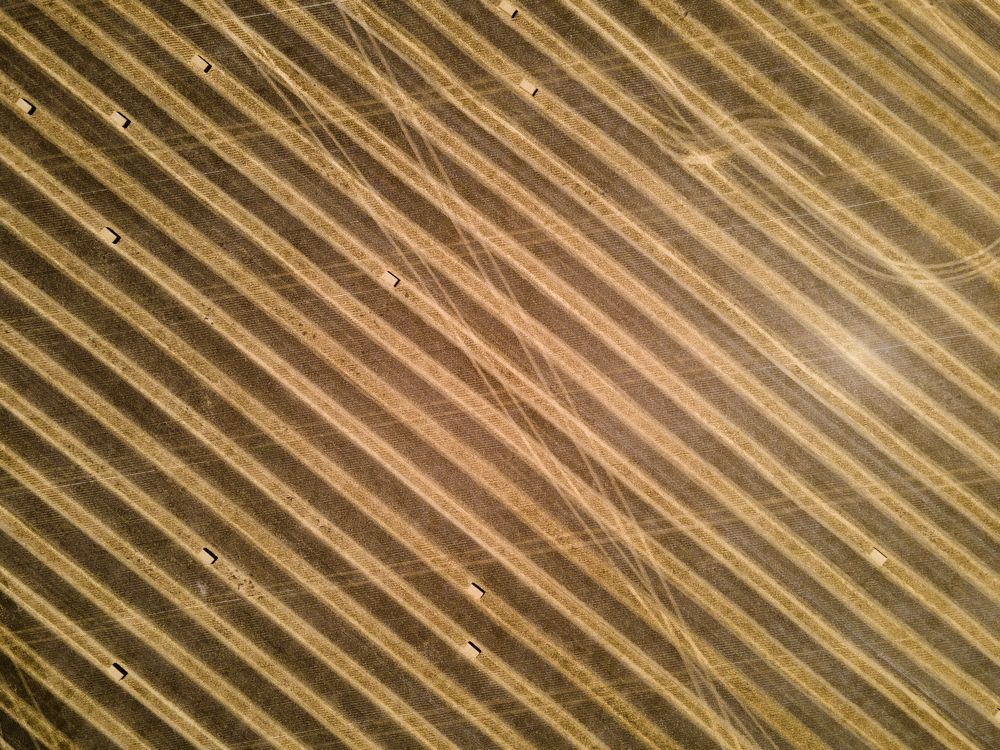 Photograph by Oksana Ermoshenko