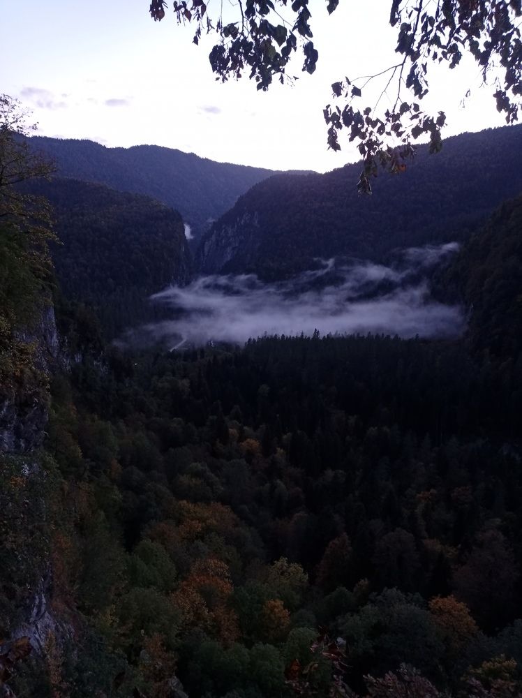 Photograph by Наталья Стальмакова