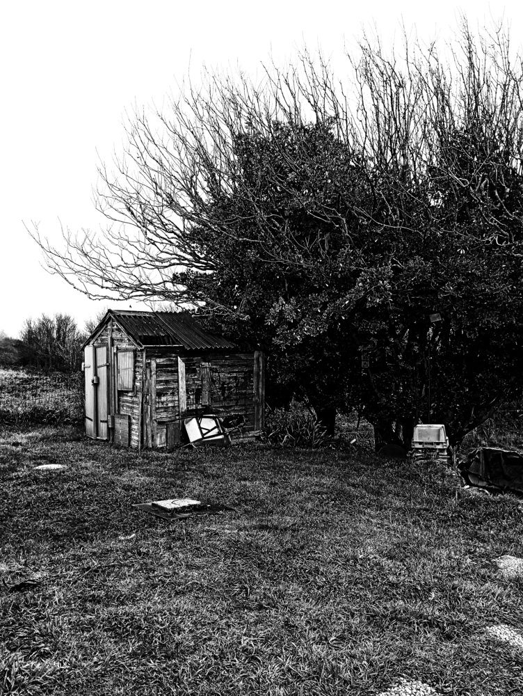 Photo #6724005