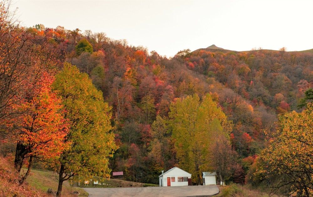 Photograph by İlham Mustafayev