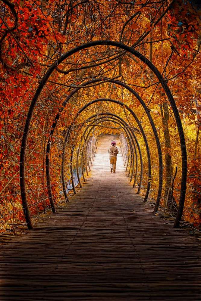 Photograph by Rana Jabeen Nawab