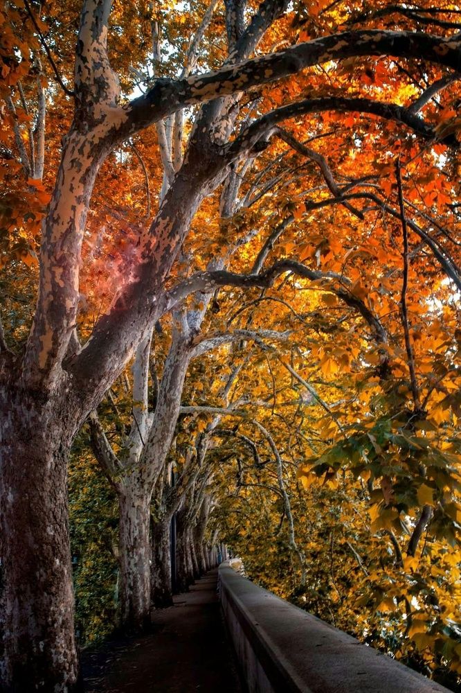 Photograph by Rana Jabeen Nawab