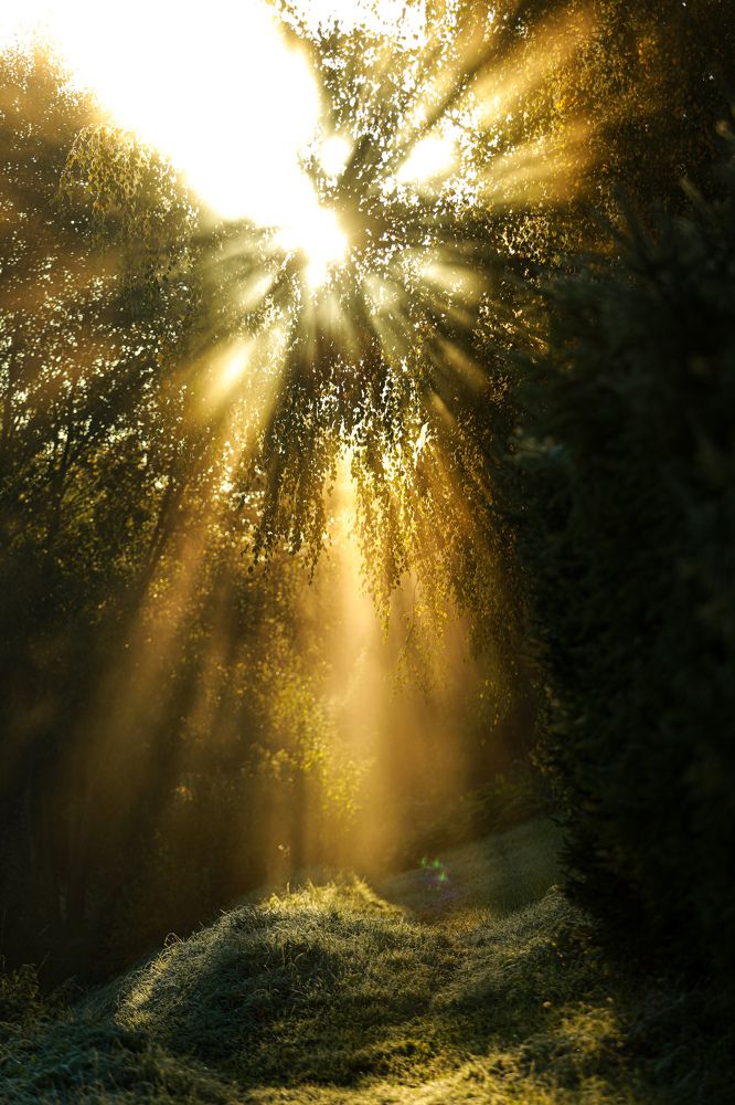 Photograph by Sergey Uskov