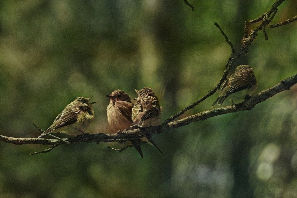 Photograph by Александр Дурасов