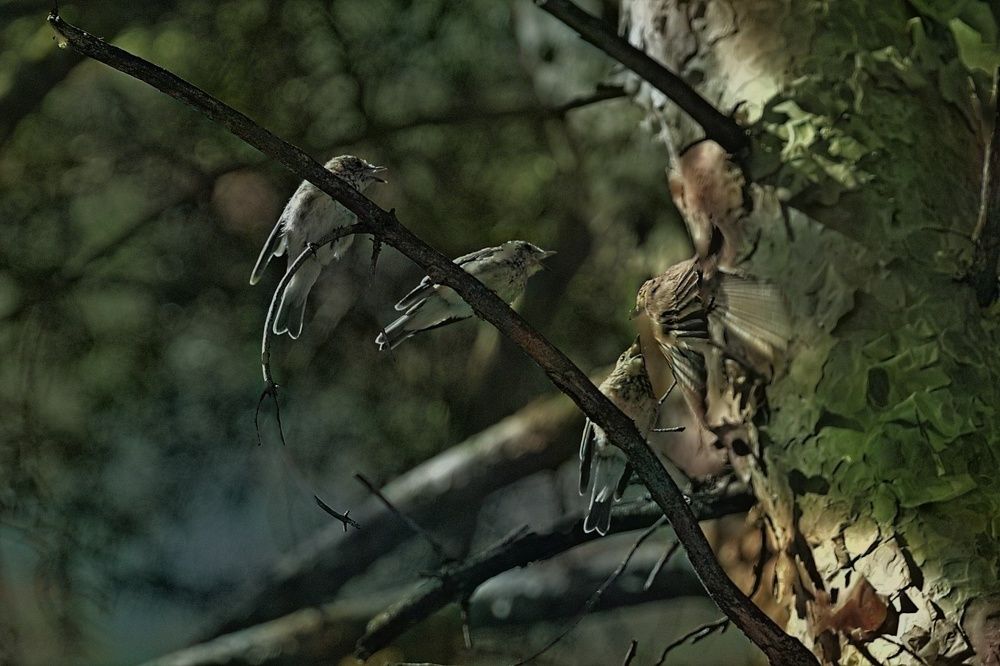 Photograph by Александр Дурасов