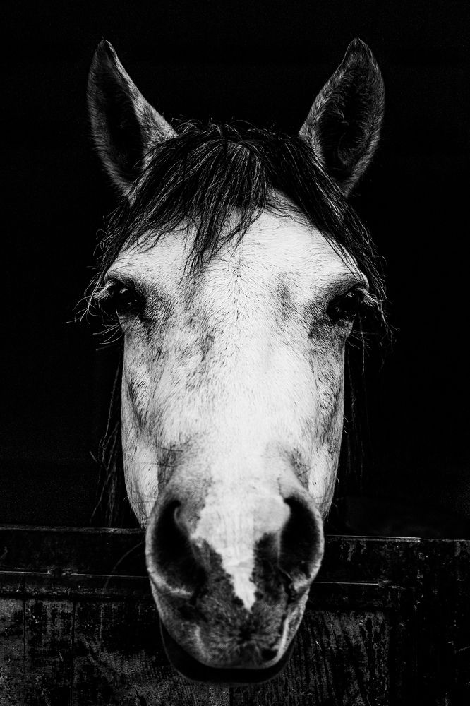 Photograph by Viyaleta Zmitrovich