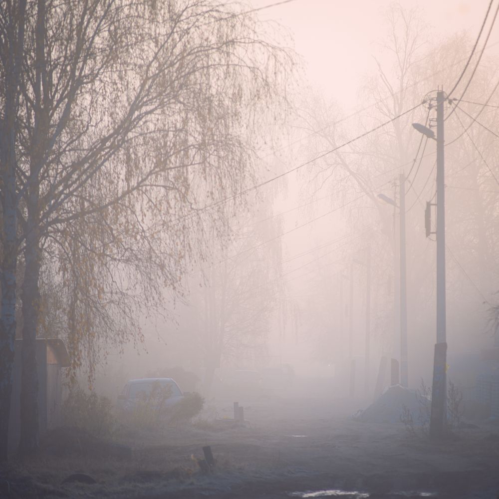 Photograph by z14photo