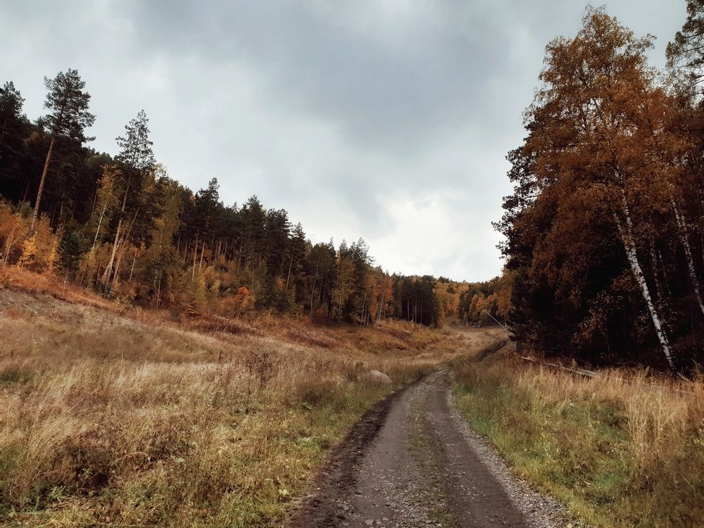 Photograph by Владимир Бакалов