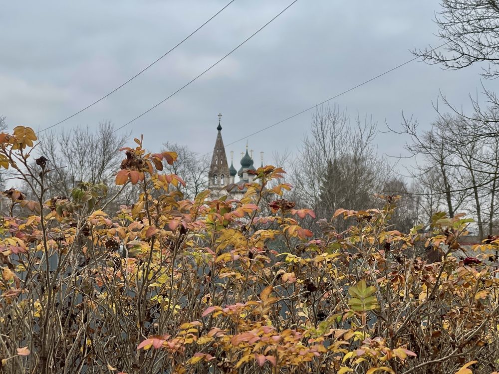 Photograph by Григорий Лыжин