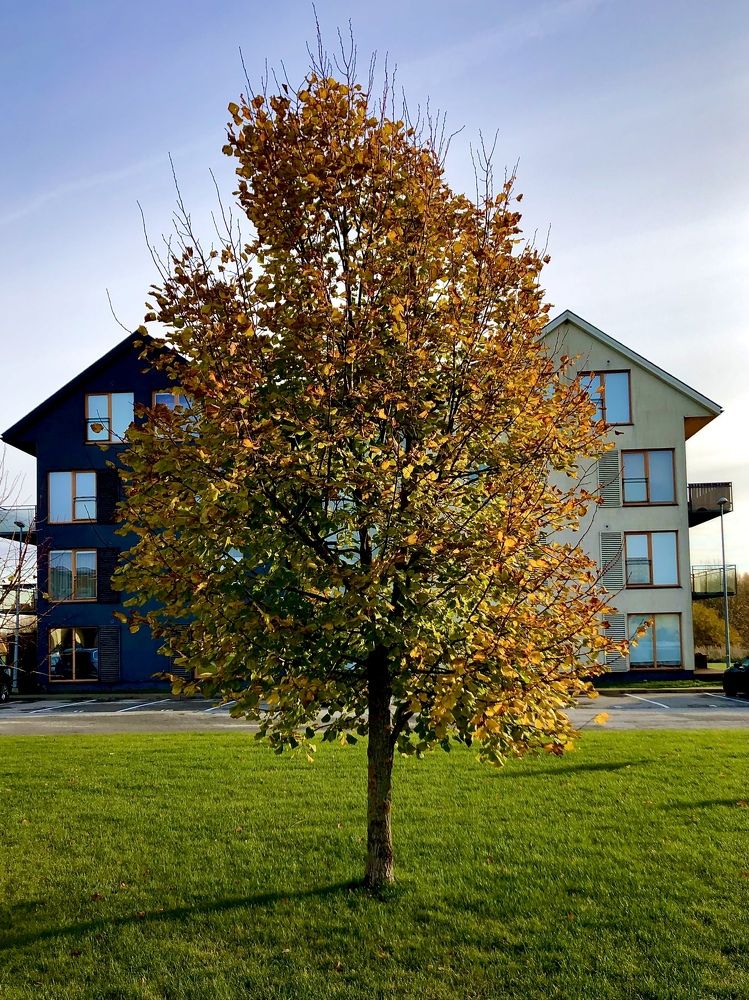 Photograph by Ольга Левенец