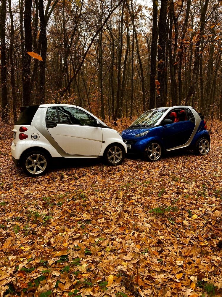 Photograph by Ольга Левенец