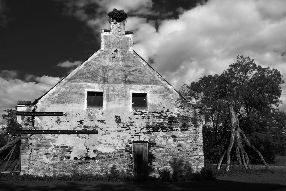 Photograph by Guntars