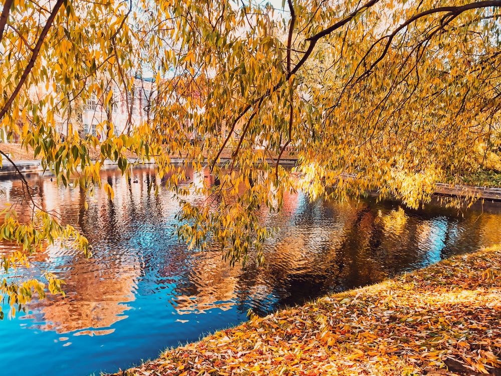 Photograph by Алёна Дьяченко