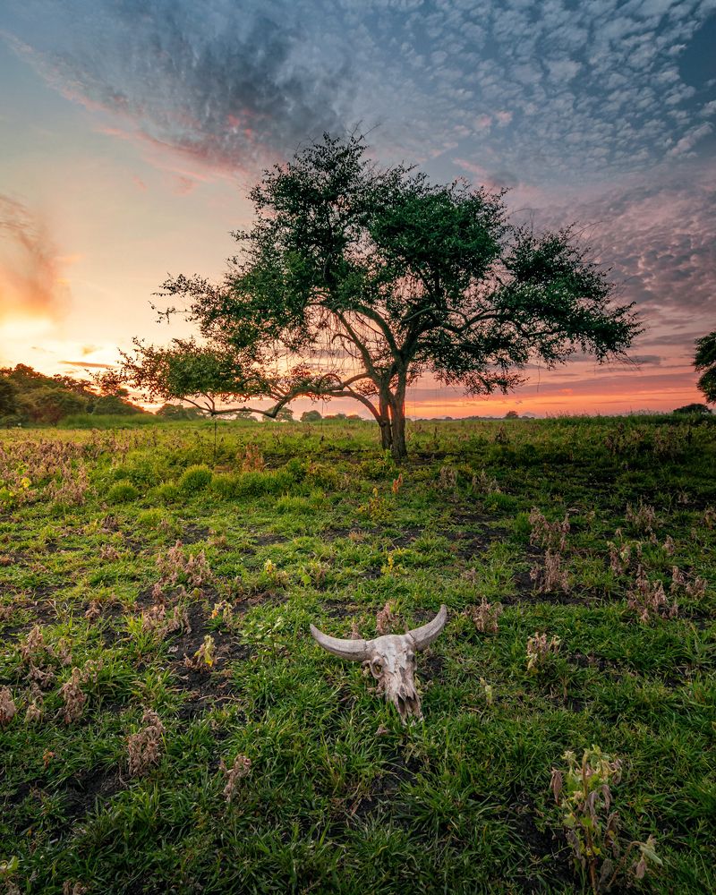 Photograph by wahyu teguh setiawan