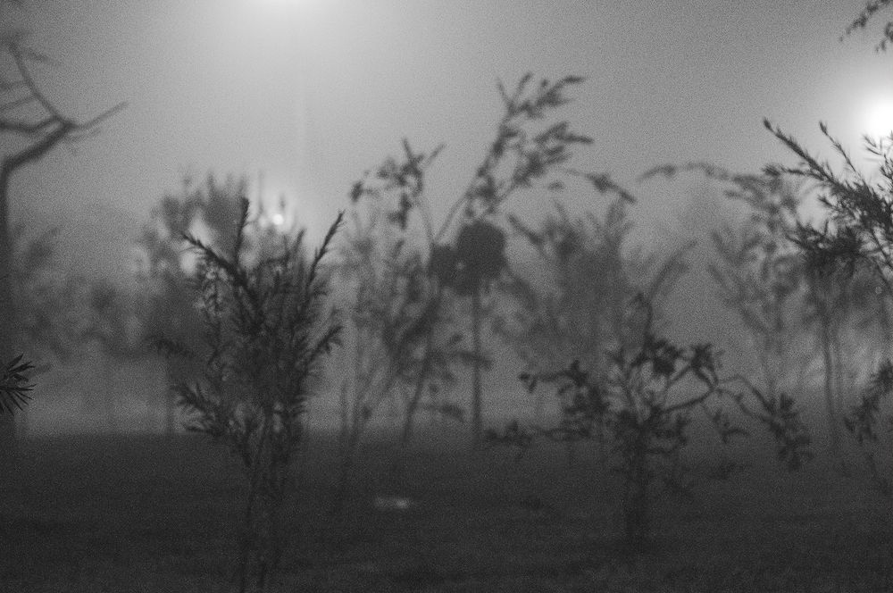 Photograph by Emilio Barrera