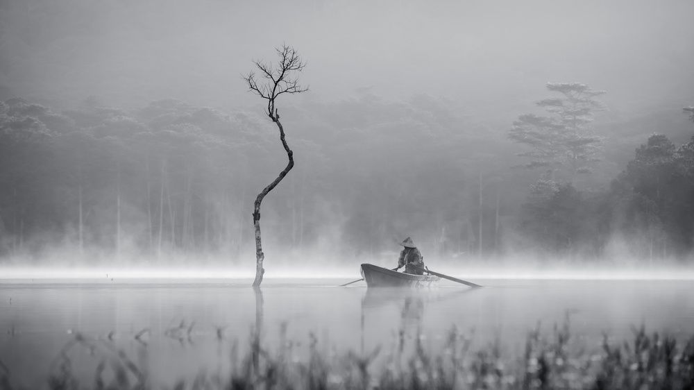 Photograph by Phong Nguyen