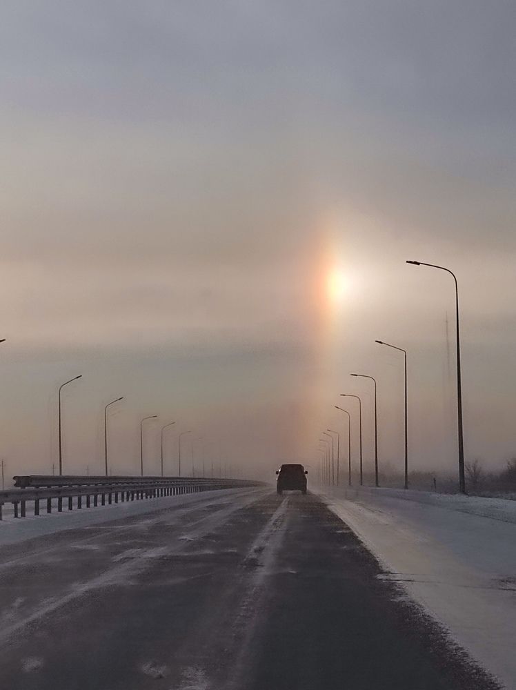 Дорога домой