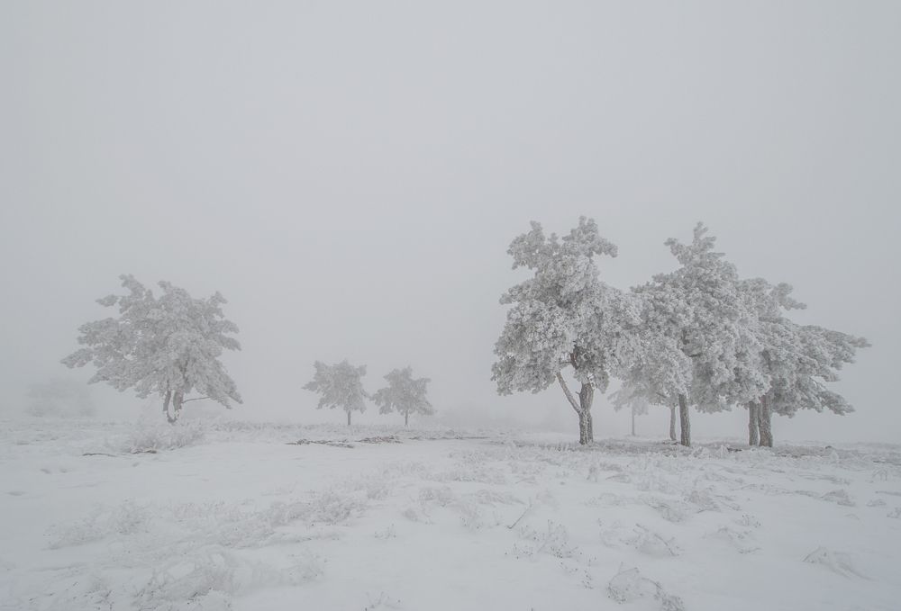 Photograph by Александр Белянский