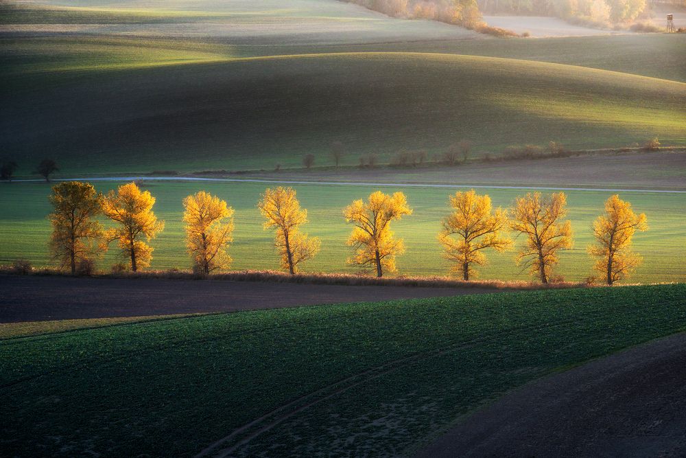 Photograph by Piotr Pawelczyk
