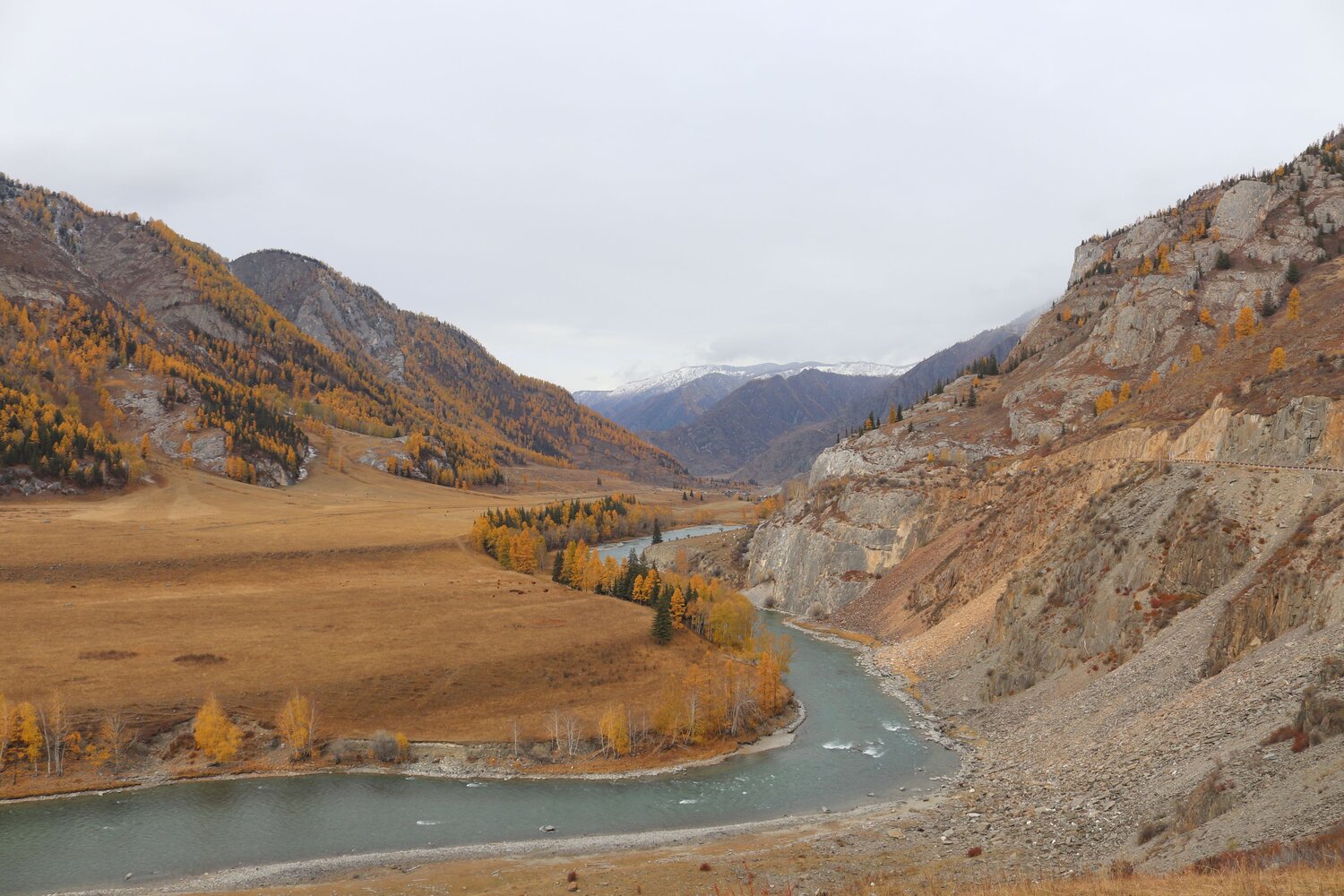 Photo #6724661