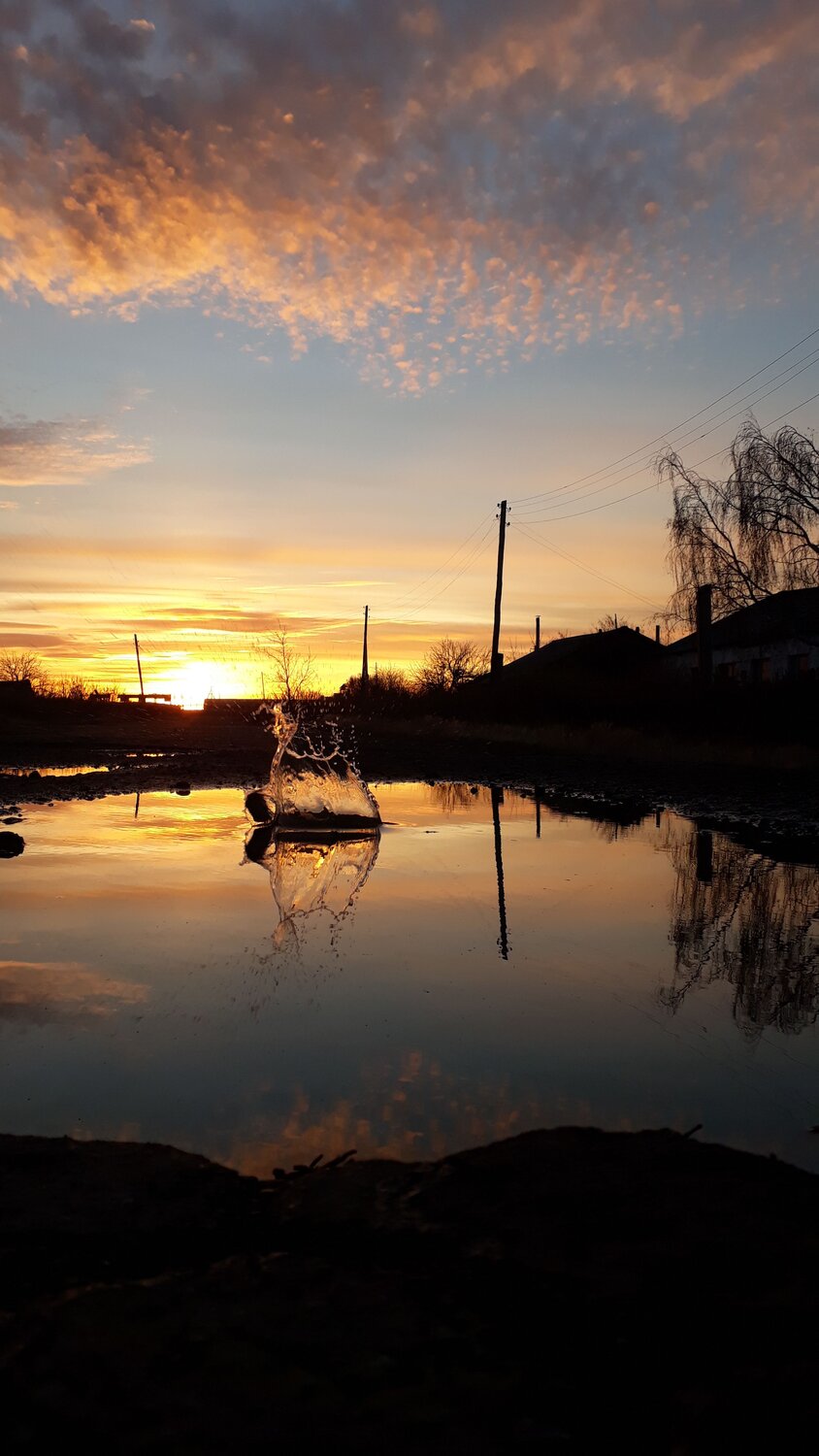 Photo #6724684